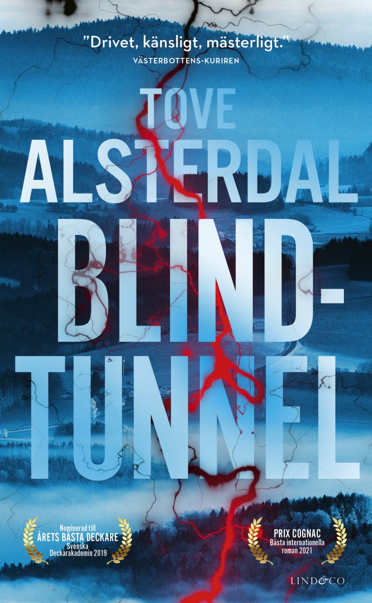 Blindtunnel - Bild 2
